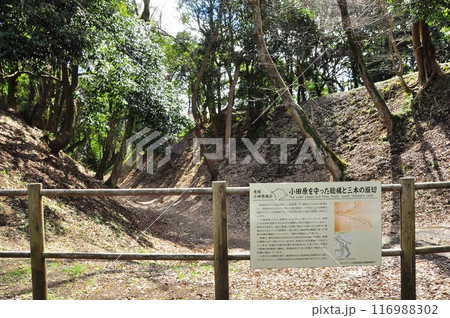 小田原の町並み　小田原城堀切（小峯御鐘ノ台大堀切西堀） 116988302