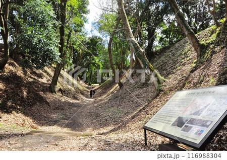 小田原の町並み 小田原城堀切(小峯御鐘ノ台大堀切西堀) 小田原の町並み 小田原城堀切(小峯御鐘ノ台大堀切西堀) 116988304