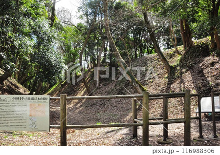 小田原の町並み　小田原城堀切（小峯御鐘ノ台大堀切西堀） 116988306