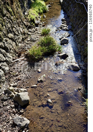 川のある風景 116988740