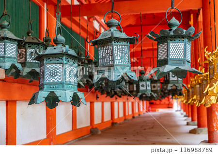 【奈良県】春日大社の回廊に並ぶ灯籠 116988789