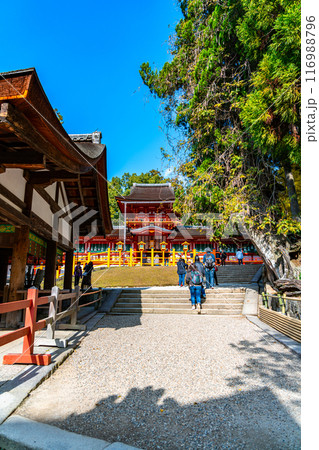 【奈良県】綺麗な青空が広がる春日大社 116988796