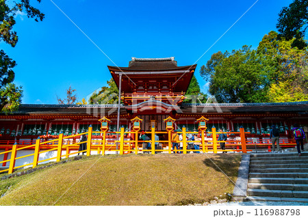 【奈良県】綺麗な青空が広がる春日大社 【奈良県】綺麗な青空が広がる春日大社 116988798