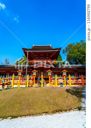 【奈良県】綺麗な青空が広がる春日大社 【奈良県】綺麗な青空が広がる春日大社 116988799