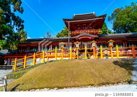 【奈良県】綺麗な青空が広がる春日大社 116988801