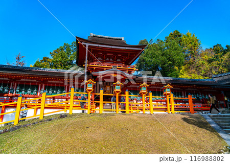 【奈良県】綺麗な青空が広がる春日大社 116988802