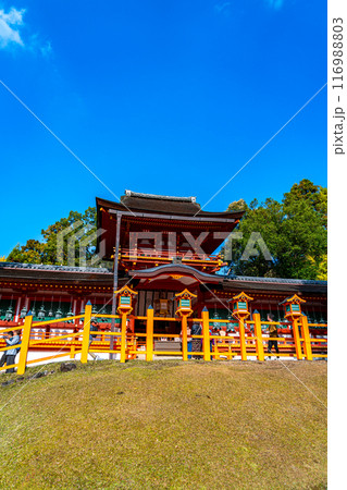 【奈良県】綺麗な青空が広がる春日大社 116988803