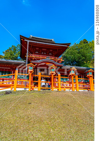 【奈良県】綺麗な青空が広がる春日大社 【奈良県】綺麗な青空が広がる春日大社 116988808