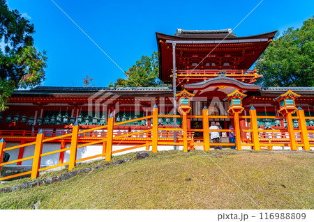 【奈良県】綺麗な青空が広がる春日大社 【奈良県】綺麗な青空が広がる春日大社 116988809