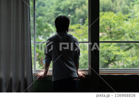 窓から眺める人の後ろ姿 窓から眺める人の後ろ姿 116988816