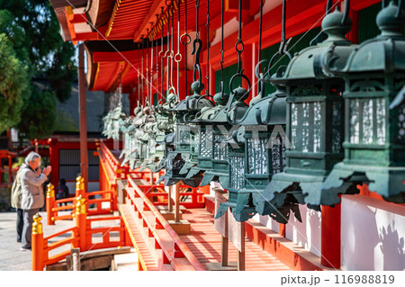 【奈良県】たくさんの灯籠が並ぶ春日大社 116988819