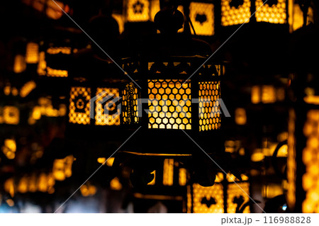 【奈良県】暗闇に浮かぶたくさんの灯籠が綺麗な春日大社 116988828