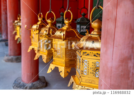 【奈良県】春日大社の回廊に並ぶたくさんの灯籠 116988832