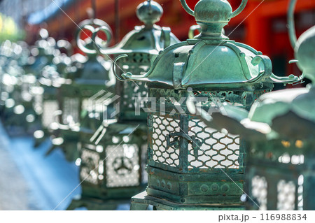 【奈良県】春日大社に並ぶたくさんの灯籠 【奈良県】春日大社に並ぶたくさんの灯籠 116988834
