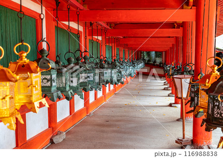 【奈良県】春日大社の回廊に並ぶたくさんの灯籠 116988838