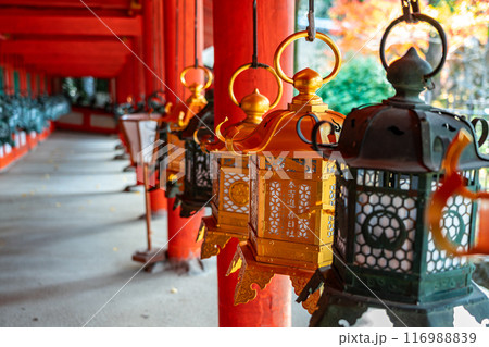 【奈良県】春日大社の回廊に並ぶたくさんの灯籠 116988839