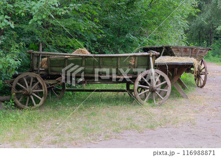Village vehicle in nature background. Retro wooden cart. 116988871