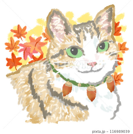 紅葉と笑顔の猫 116989039