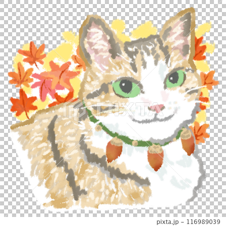 紅葉と笑顔の猫 116989039