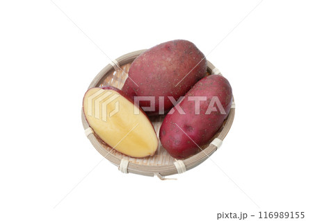 白バックでザルに盛ったじゃがいも レッドムーンという品種のジャガイモ 白バックでザルに盛ったじゃがいも レッドムーンという品種のジャガイモ 116989155