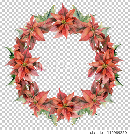 Red poinsettia flowers, holly leaves. Watercolor hand drawn illustration, wreath crown frame isolated on white. Xmas, happy new year festive, noel navidad holiday. Cards, gifts, florist shop, wedding 116989220