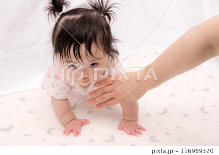 【はいはいを始める髪を結んだ赤ちゃん】 116989320