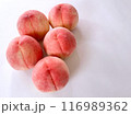 右側の余白エリアに文字入れできます。 116989362