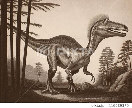 特徴的な形態のフクイラプトルとその時代の生態 116989379