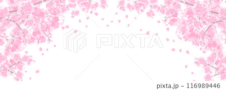 満開の桜のバナー背景 116989446