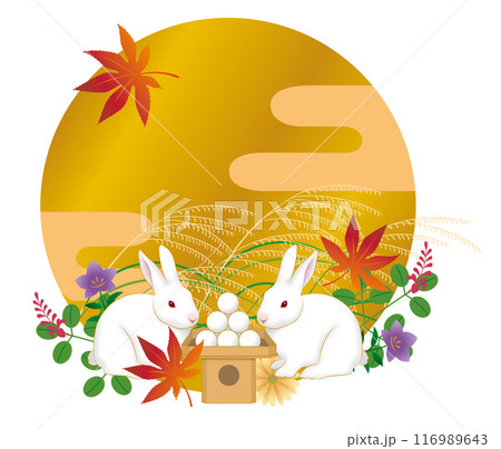 満月　お月見をするうさぎ　十五夜　中秋の名月 116989643