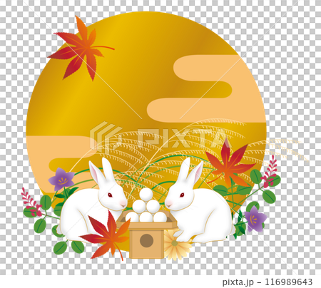 滿月，兔子望月，十五夜，中秋月 116989643