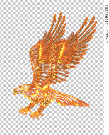 Burning bird or phoenix. isolated. Flame transparent texture object. Png illustration Burning bird or phoenix. isolated. Flame transparent texture object. Png illustration 116989805