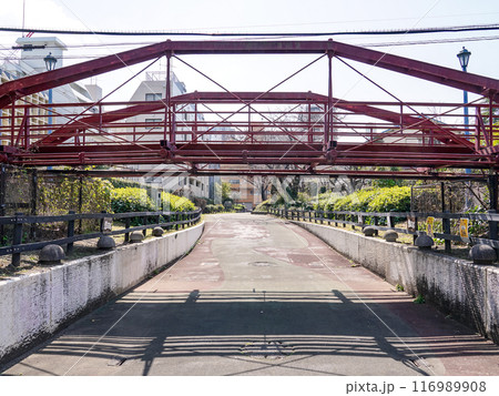 東京に架けられた最初の鉄橋　八幡橋こと旧弾正橋（東京都江東区） 116989908