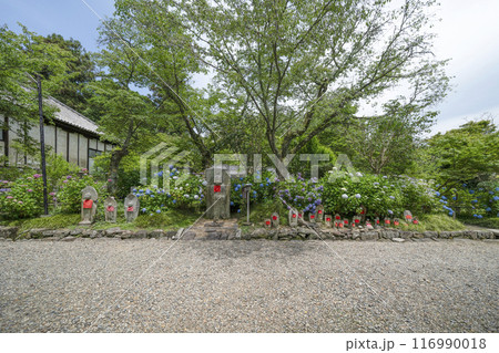 矢田寺（奈良県）味噌なめ地蔵 116990018