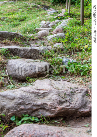 Rainy road on a summer day Rainy road on a summer day 116990226