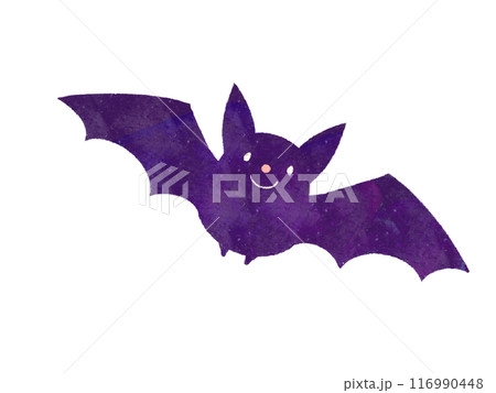 可愛いコウモリのイラスト 可愛いコウモリのイラスト 116990448