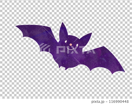 可愛いコウモリのイラスト 可愛いコウモリのイラスト 116990448