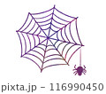 蜘蛛の巣からぶら下がる蜘蛛のイラスト 116990450