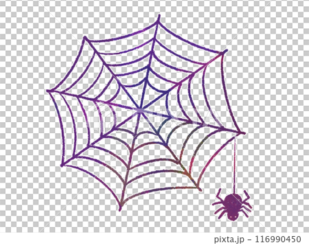 蜘蛛網上掛著的蜘蛛的插圖 116990450