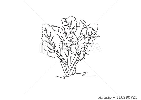 Continuous one line drawing group pile of healthy organic swiss chard for farm logo identity. Fresh leafy spinach beet concept for vegetable icon. Single line draw design vector graphic illustration 116990725