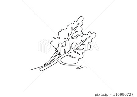 Single continuous line drawing whole healthy organic raw swiss chard for farming logo identity. Fresh green leafy concept for vegetable icon. Dynamic one line draw graphic design vector illustration 116990727