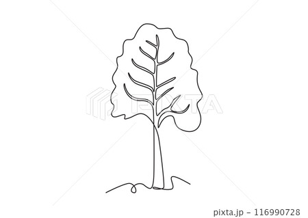 Single continuous line drawing whole healthy organic raw swiss chard for farming logo identity. Fresh green leafy concept for vegetable icon. Dynamic one line draw graphic design vector illustration Single continuous line drawing whole healthy organic raw swiss chard for farming logo identity. Fresh green leafy concept for vegetable icon. Dynamic one line draw graphic design vector illustration 116990728