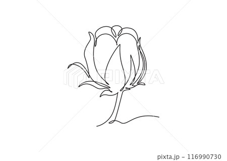 Single continuous line drawing of whole soft and fluffy cotton flower for farming logo identity. Staple fiber flower concept for garden icon. Dynamic one line draw graphic design vector illustration Single continuous line drawing of whole soft and fluffy cotton flower for farming logo identity. Staple fiber flower concept for garden icon. Dynamic one line draw graphic design vector illustration 116990730