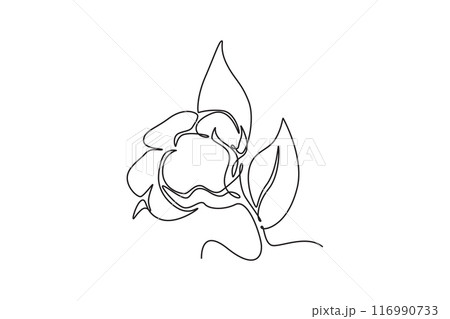 Single continuous line drawing of whole soft and fluffy cotton flower for farming logo identity. Staple fiber flower concept for garden icon. Dynamic one line draw graphic design vector illustration Single continuous line drawing of whole soft and fluffy cotton flower for farming logo identity. Staple fiber flower concept for garden icon. Dynamic one line draw graphic design vector illustration 116990733