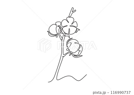 Single continuous line drawing of whole soft and fluffy cotton flower for farming logo identity. Staple fiber flower concept for garden icon. Dynamic one line draw graphic design vector illustration 116990737