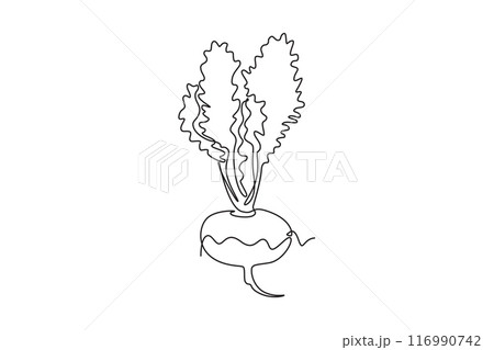 Single one line drawing whole healthy freshness organic white turnip for farm logo identity. Fresh plant concept for root vegetable icon. Modern continuous line draw design graphic vector illustration Single one line drawing whole healthy freshness organic white turnip for farm logo identity. Fresh plant concept for root vegetable icon. Modern continuous line draw design graphic vector illustration 116990742