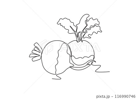 Single one line drawing whole healthy freshness organic white turnip for plantation logo identity. Fresh veggie concept for root vegetable icon. Continuous line draw design graphic vector illustration Single one line drawing whole healthy freshness organic white turnip for plantation logo identity. Fresh veggie concept for root vegetable icon. Continuous line draw design graphic vector illustration 116990746