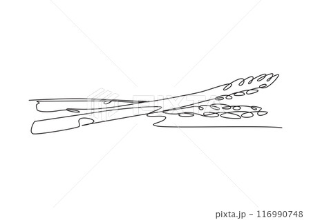 Single one line drawing of whole healthy organic raw asparagus for farm logo identity. Fresh garden asparagus concept for vegetable icon. Modern continuous line draw design graphic vector illustration 116990748