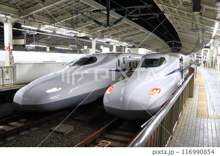 東京駅に停車中の東海道新幹線N700系・N700S系 東京駅に停車中の東海道新幹線N700系・N700S系 116990854