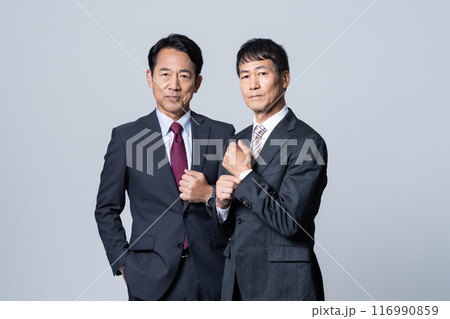 エグゼクティブなビジネスマン 116990859